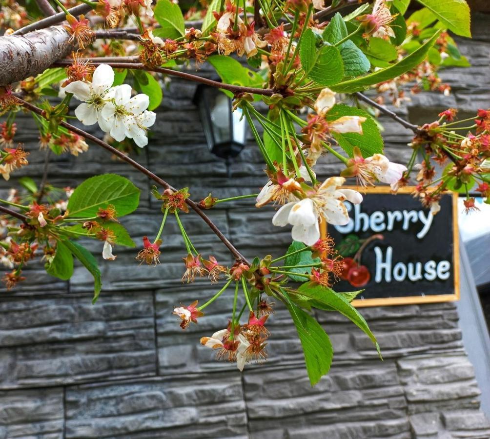Cherry House Казбеги Экстерьер фото