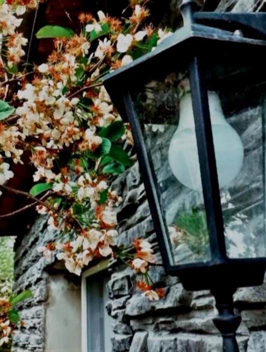 Cherry House Казбеги Экстерьер фото