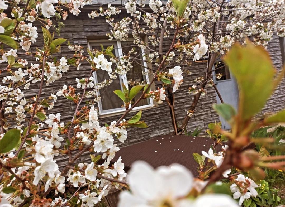 Cherry House Казбеги Экстерьер фото